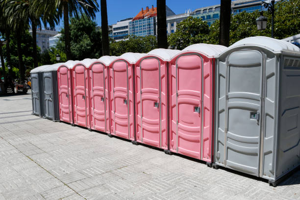 Types of Portable Toilets We Offer in Stephens City, VA